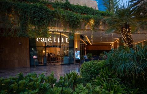 ซาอุดีอาระเบีย 